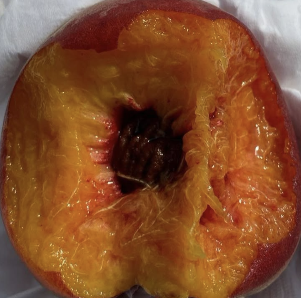 Peach